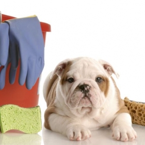 Photo of Total Cleaning Solutions