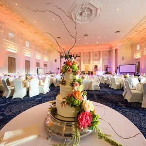 Photo of Black Swan Events