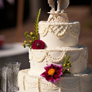 Photo of Black Swan Events