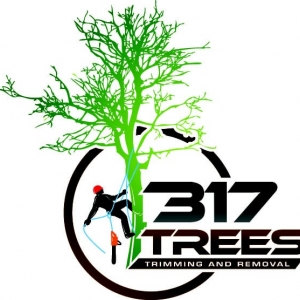 Photo of 317 Trees