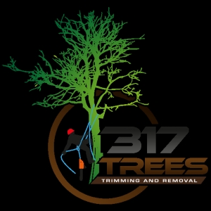 Photo of 317 Trees