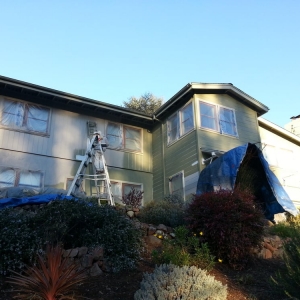 Photo of Trimline Paint and Decorating