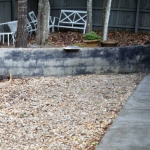 Photo of Restoration Concrete