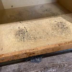 Photo of Tried & True Home Cleaning