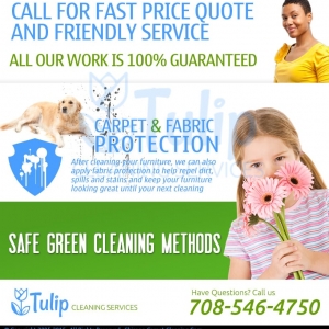 Bridgeview Tulip Cleaning Services