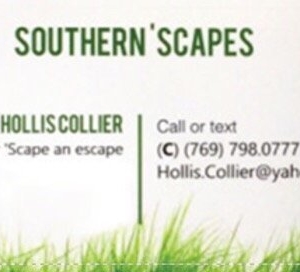 Photo of Southern 'Scapes