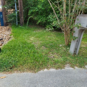 Photo of Fresh Lawn Mowing Service