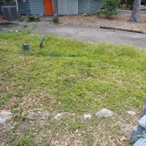 Photo of Fresh Lawn Mowing Service