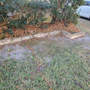 Photo of Fresh Lawn Mowing Service