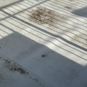 Photo of Bird Creek Roofing
