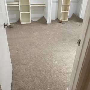 San Antonio CW Floors