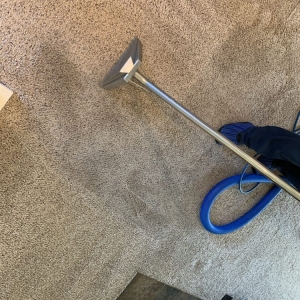 Photo of Fresh & Green Carpet Cleaning
