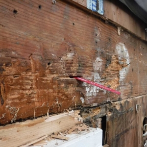Photo of SFW Construction LLC