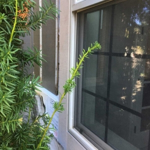 Photo of SFW Construction LLC
