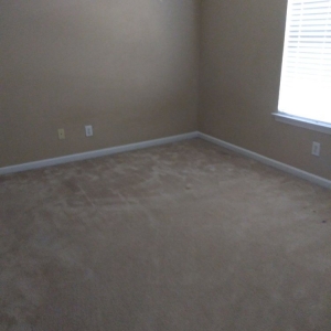 Photo of All Natural Cleaning