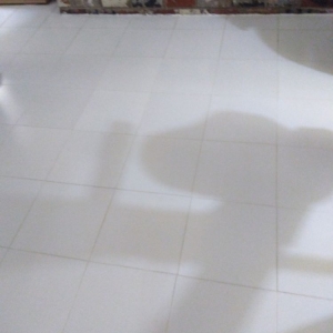 Photo of All Natural Cleaning