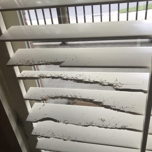 Photo of Blind and Shade Repair of Atlanta