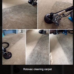 Photo of Blue Dog Carpet Cleaning