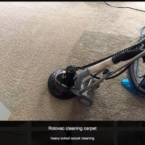 Photo of Blue Dog Carpet Cleaning