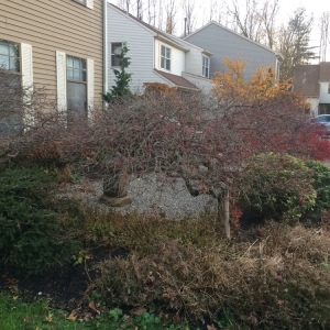 Photo of Highland Landscaping & Lawn Service