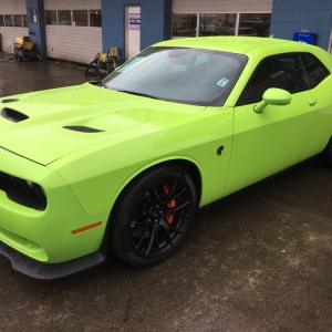 Photo of Signature Auto Detail