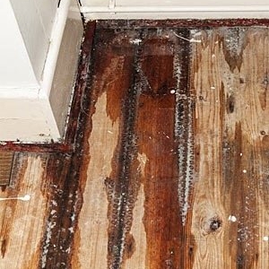 Glendale Ability Restoration