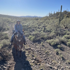 Photo of Wild West Trail Rides