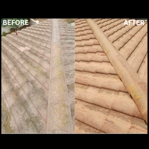 Photo of In & Out Pressure Washing