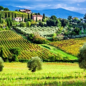 Photo of Wine Tasting Events USA
