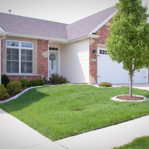 St. Louis Green Team Lawn Service