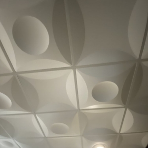 Photo of Brutal Ceiling Tiles