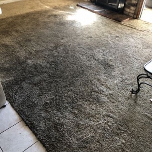 Photo of Botellos Auto & Home Carpet Cleaning