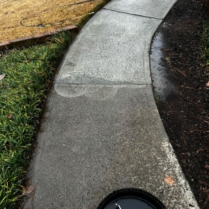 Acworth Father & Sons Pressure Washing