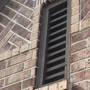 Photo of Urban Jungle Wildlife Removal