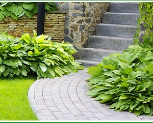 Photo of Forest Wind Landscaping