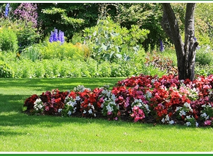 Photo of Forest Wind Landscaping