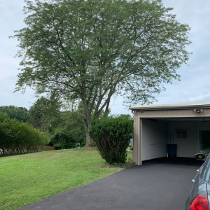 Photo of Arbormasters