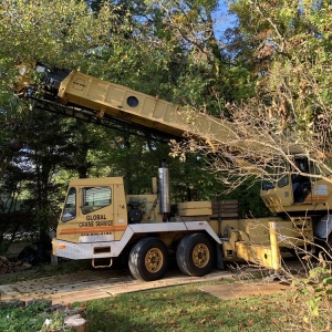 Photo of Arbormasters