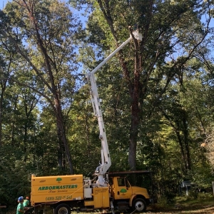 Photo of Arbormasters