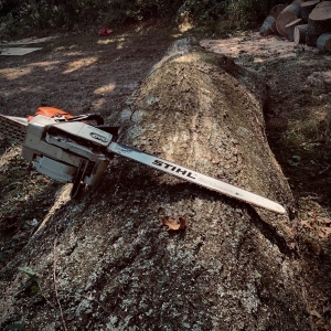 Photo of Arbormasters