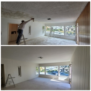 Photo of SoCal Painters