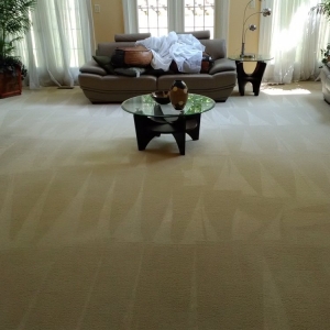 Photo of Mean Cleaning And Restoration