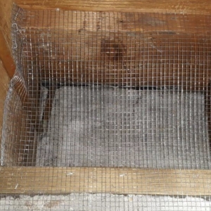 Photo of Attic Crew