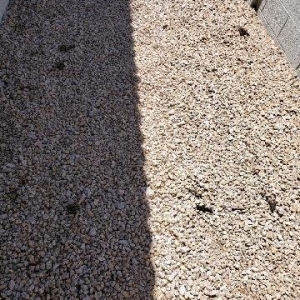 Photo of PoopFinders