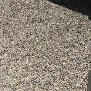 Photo of PoopFinders