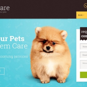Photo of Clean Sites Web Design