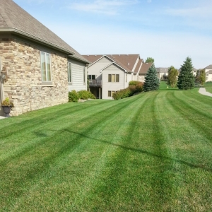 Photo of S&E Property Care