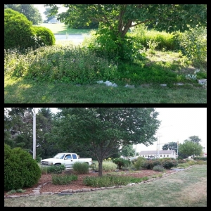 Photo of S&E Property Care