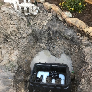 Photo of Fig Pools Houston