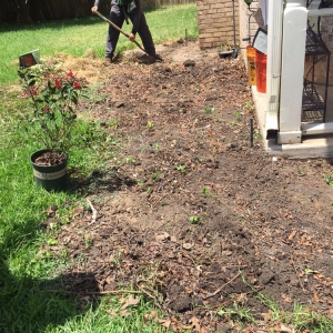 Photo of Jesus professional landscaping company